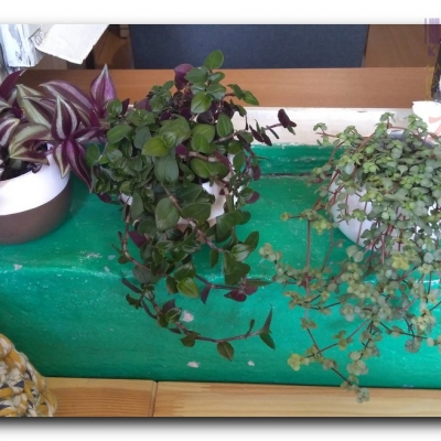 Trzykrotki przed i po wyjeździe - Sierpień 2022