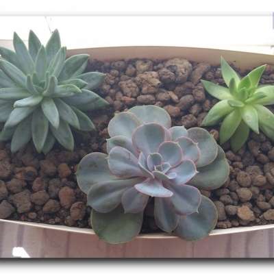 Eszewerie - przed i po wyjeździe - Sierpień 2022