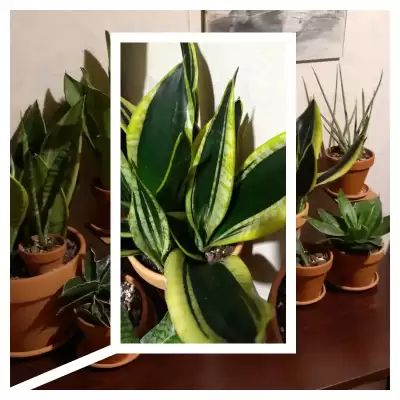 Zmiana aranżacji plus 1 nowość