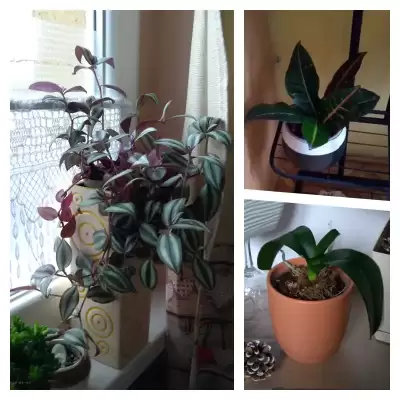 Na początek podsumowania różności