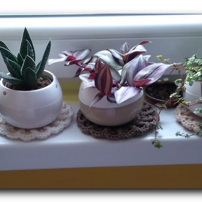 Kropka zmienia towarzystwo - lipiec 2022