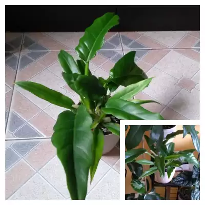 I jeszcze jeden Filek do kolekcji