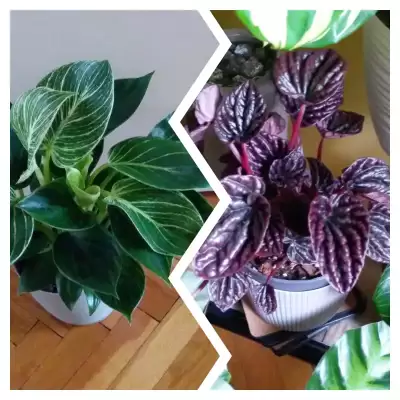 Dwie wrześniowe nowości