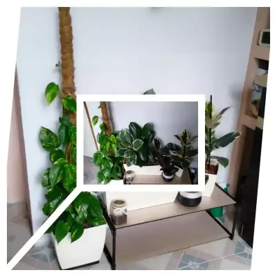 Przygotowania do zimy