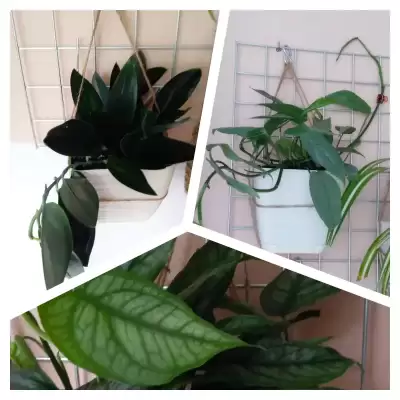 Nowości na kratce kuchennej