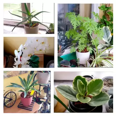 Różności - podsumowanie czerwca 2023