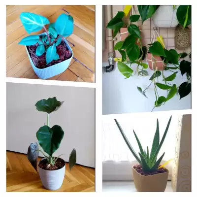 Lipiec 2023 - pierwsze nowości