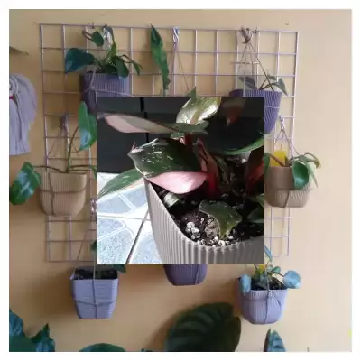 Pink Pricess ale Marble :-)