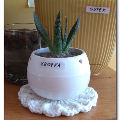 Kropka przed i po wyjeździe - Sierpień 2022