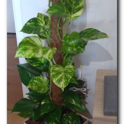 Duży przed i po wyjeździe - Sierpień 2022