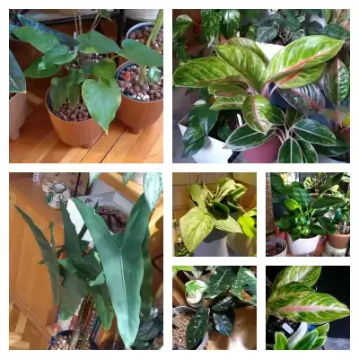 Grudniowe zakupy - Planta Nova / Biedronka / Moje Badyle