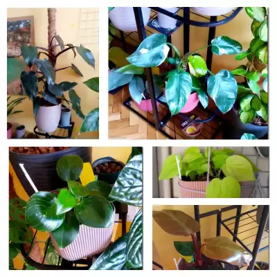 Filki - podsumowanie czerwca 2023