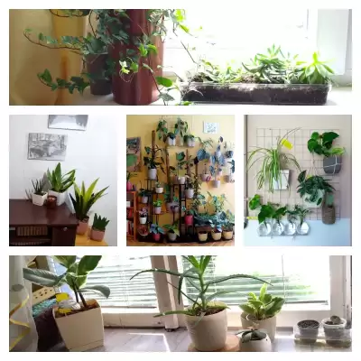 Aranżacje - przed i po urlopie