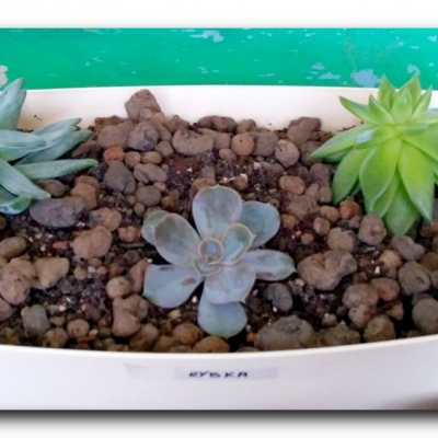 Eszewerie 10/11 2022