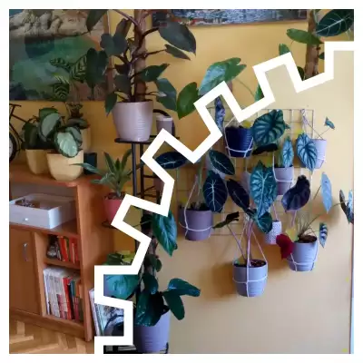 Majówka PRZED i PO plus nowości