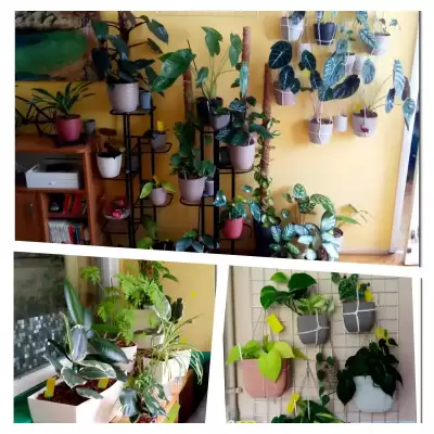 Aranżacje - podsumowanie czerwca 2023