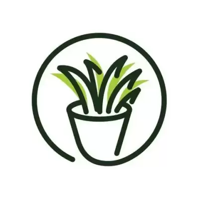 Hoya - informacje ogólne