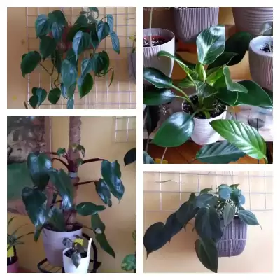 Filki - podsumowanie roku 2023