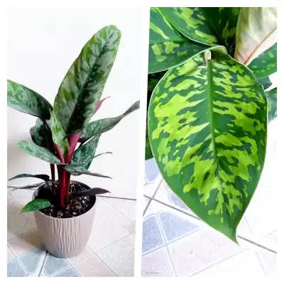 Zupełnie nowe gatunki