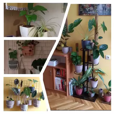 Nowe aranżacje - wiosenne przesadzanie - marzec 2023