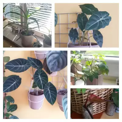 Małe sukcesy z początku września