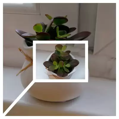 No i jest pierwszy Grubosz