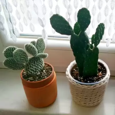 Pierwszy zakup w 2025