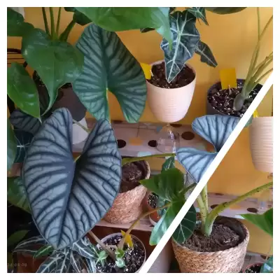 Nie wierzyłam w to, co zobaczyłam!