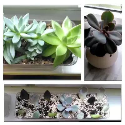 Eszewerie - podsumowanie czerwca 2023