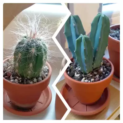 Pierwsze zakupy 2026