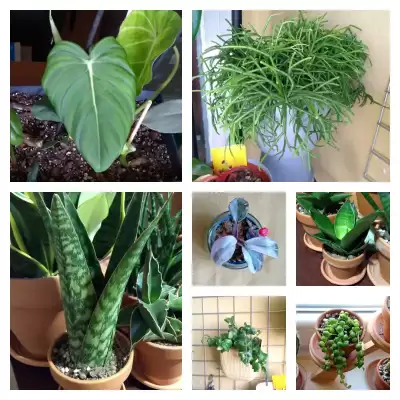 Black Week - MikroKlimat