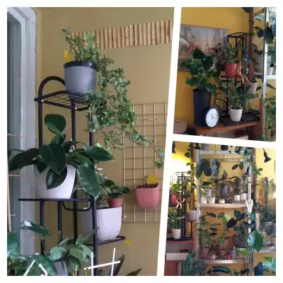 Nowe regały i zmiana aranżacji