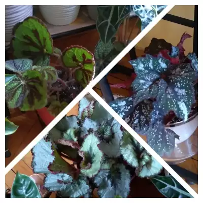 Czyżby nowa miłość?