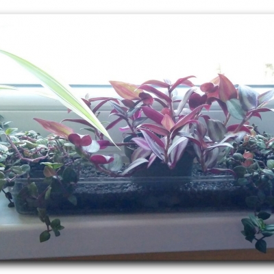 Trzykrotki 10/11 2022