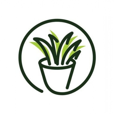 Aloe Vera - informacje ogólne