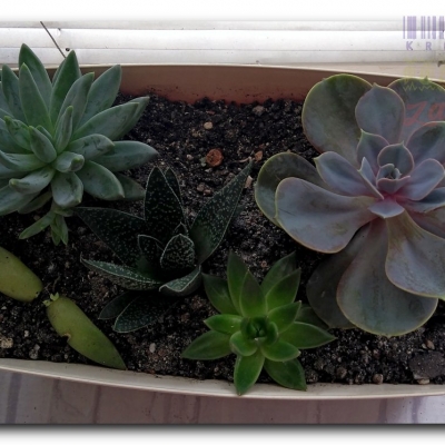 Eszewerie - Lipiec 2022