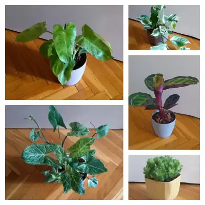 Kolejne sierpniowe nowości